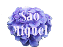 Sao Miguel 